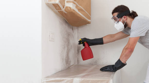 Professional Mold Remediation technician working in Ocean Beach, NY